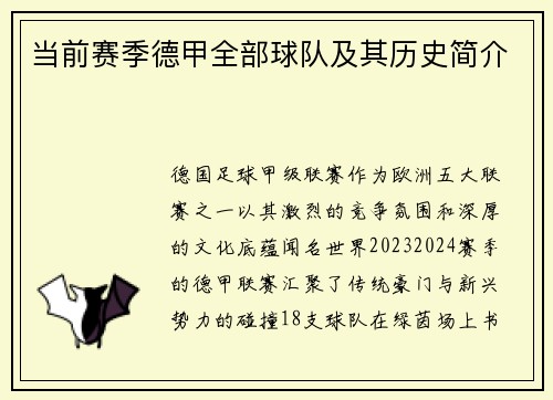 当前赛季德甲全部球队及其历史简介