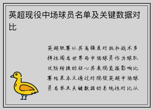 英超现役中场球员名单及关键数据对比